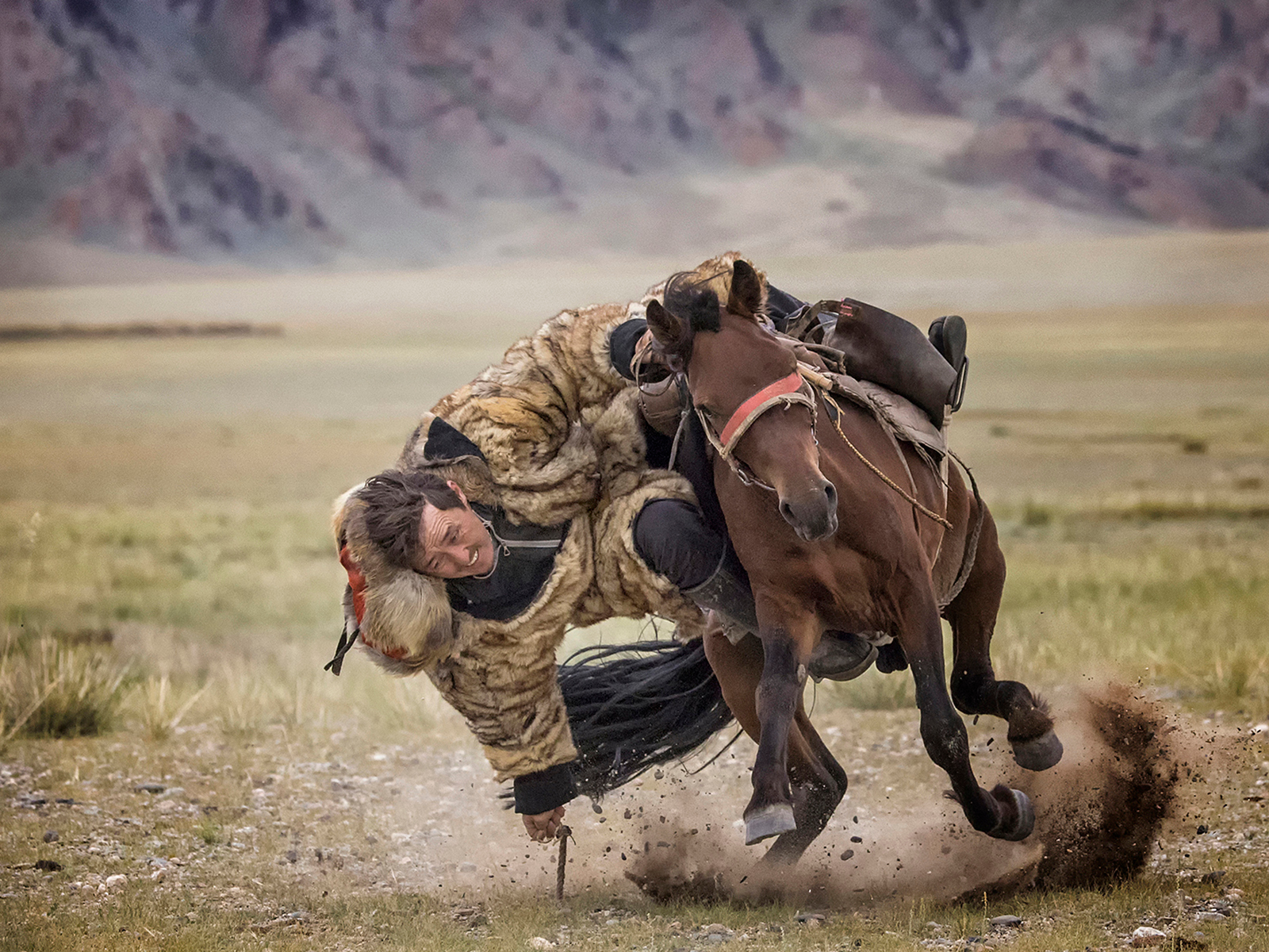 TENGE ILU MONGOLIAN HORSE GAME
